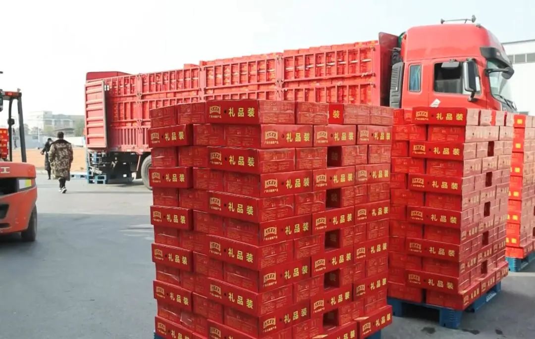 ���ϼ��󽡿��a(ch��n)�I(y��)�@���_���R��æ���a(ch��n) ȫ���_�̡��_�T�t��