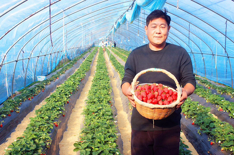 2025��ɽ�|��ݮ�a(ch��n)�I(y��)���(hu��)�A�M���_�����f���R�ϲ�ݮ�@��ժ�ý�(ji��ng)